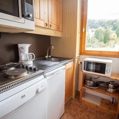 3 Avec Balcon, Proches Des Pistes Et De L'esf, Animaux Acceptes - Fr-1-356-316 *