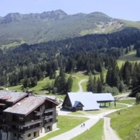 3 Avec Balcon, Proches Des Pistes Et De L'esf, Animaux Acceptes - Fr-1-356-316 * Valmorel